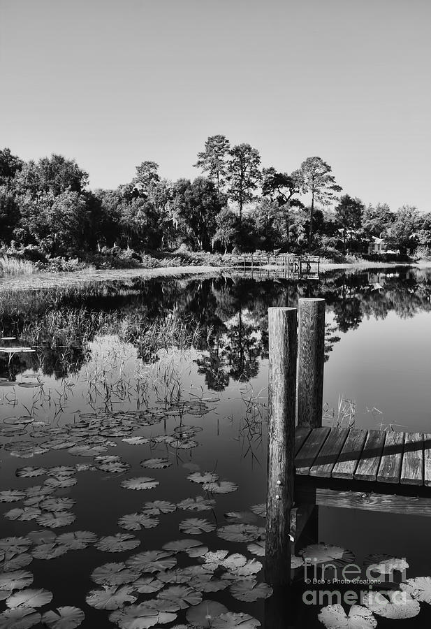 Lakes of Deland Photograph by Deborah Benoit