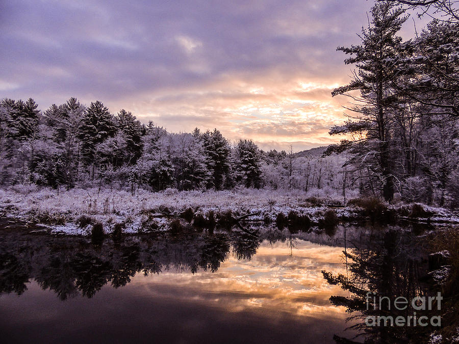 Tree Photograph - Lakes Region Morning Snow by Mim White