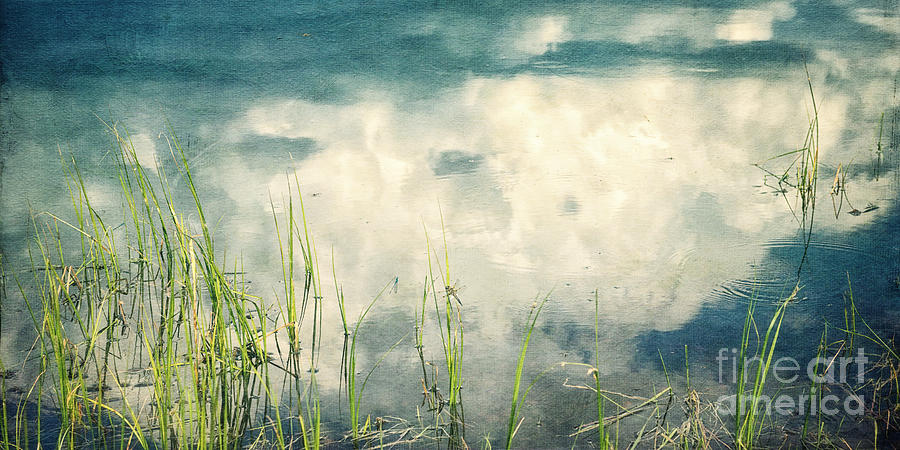 Nature Photograph - Lakeshore Reflections by Priska Wettstein