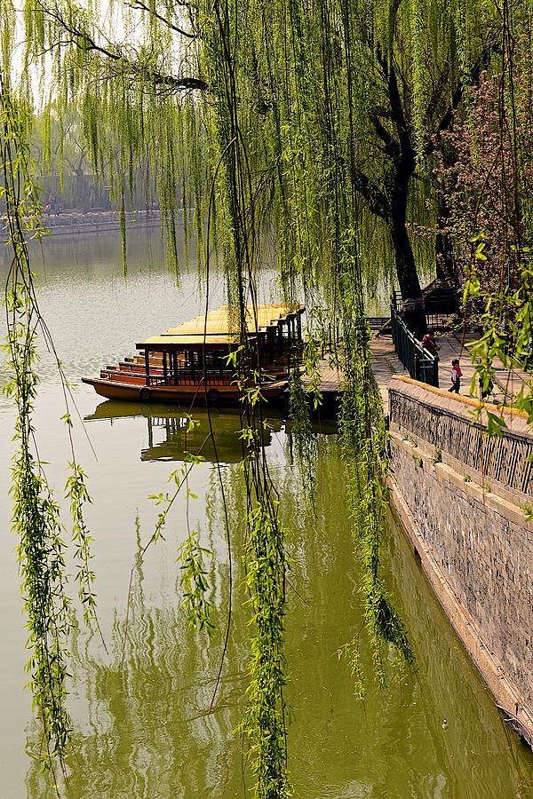 Spring Photograph - Lakeside Dock with Spring Willow Tree by Clyn Robinson