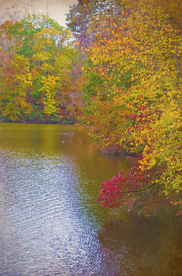 Fall Photograph - Lakeside Fall Color by Sandi OReilly