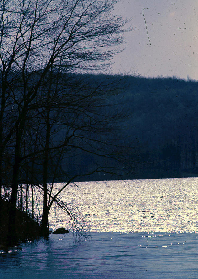 Lakeside in Winter Photograph by John Warren