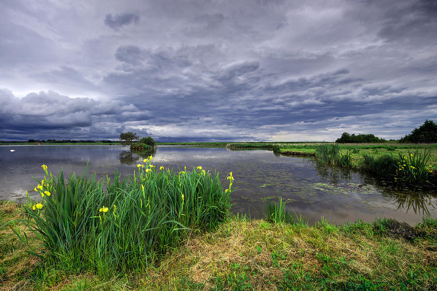 Lakeside Photograph by Ivan Slosar