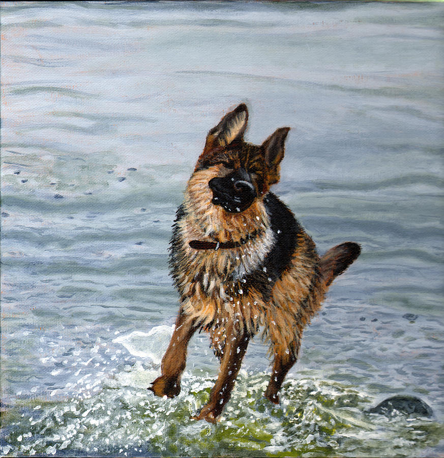 German Shepherd Painting - Lakeside Romp II by Jennifer Frampton
