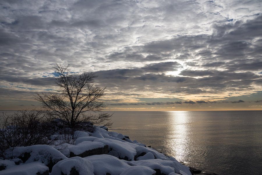 Lakeside Silver - Winter Morning Light Photograph by Georgia Mizuleva