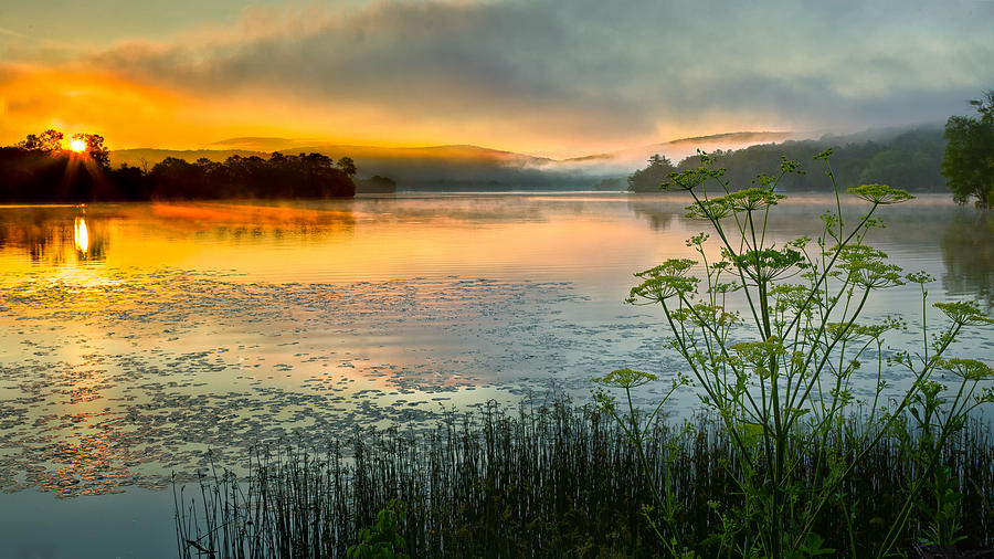 Sunrise Photograph - Lakeside Sunrise by Bill Wakeley