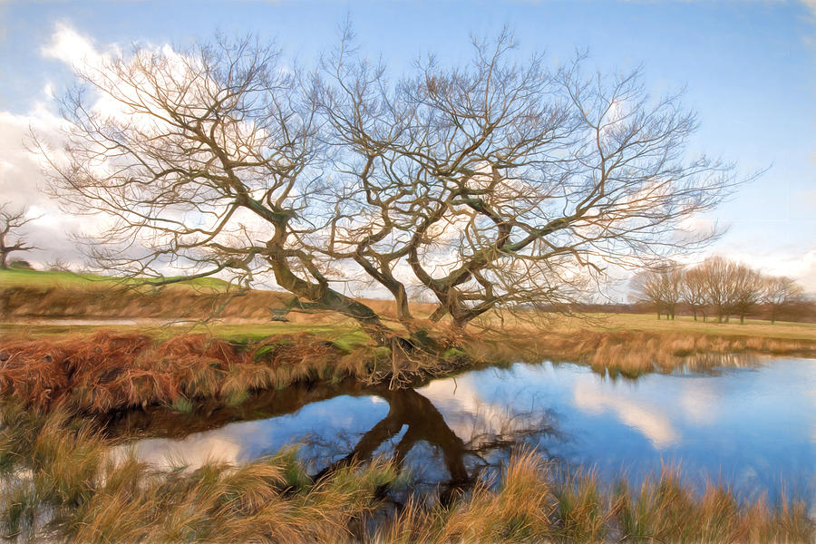 Lakeside Tree Digital Art by Roy Pedersen