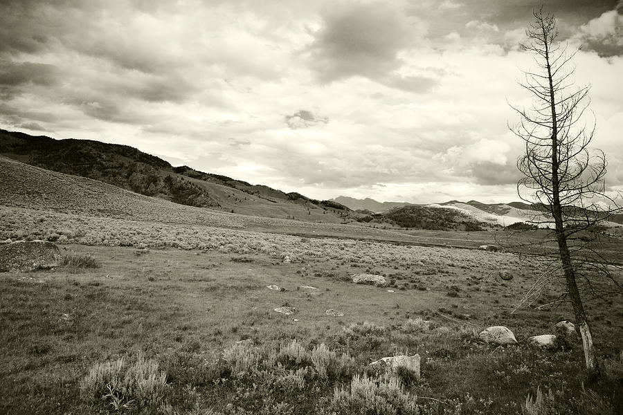 Lamar Valley in Black and White Photograph by Belinda Greb