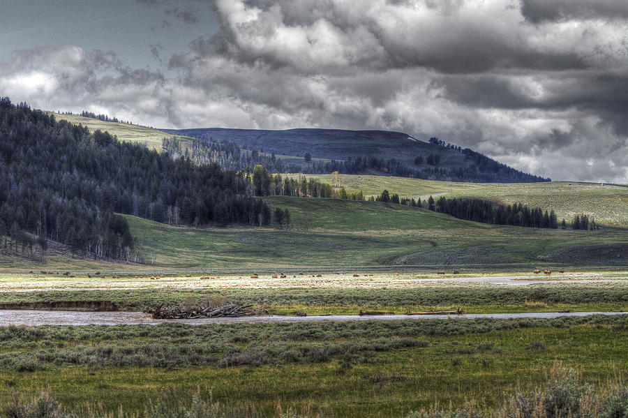 Lamar Valley Photograph by Jack R Perry