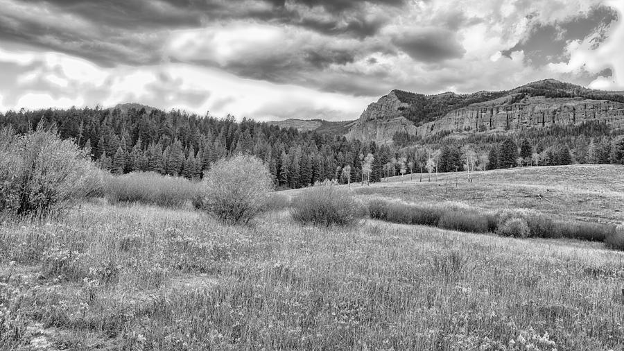 Lamar Valley Looking Towards Specimen Ridge BW- Yellowstone Photograph by Belinda Greb