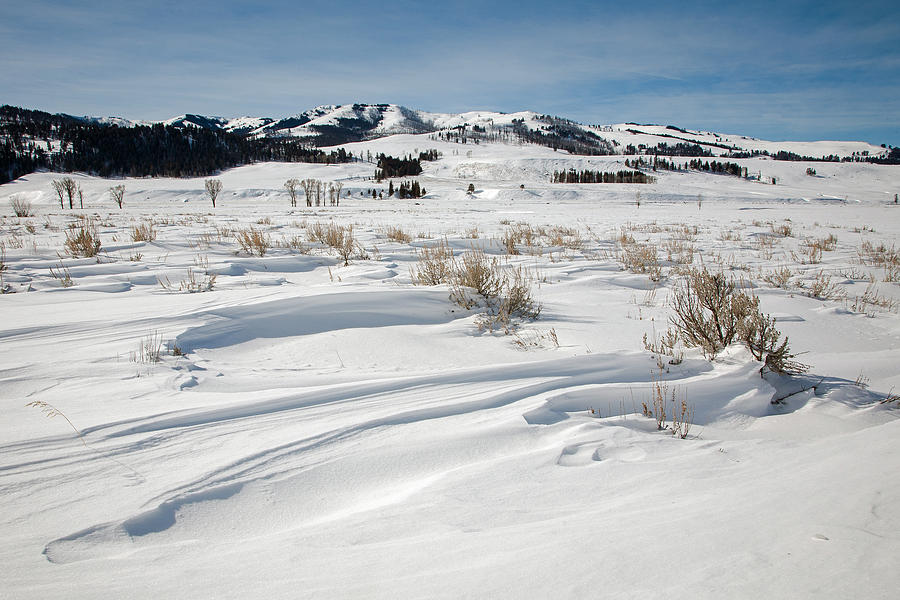 Lamar Valley Winter Scenic Photograph by Jack Bell