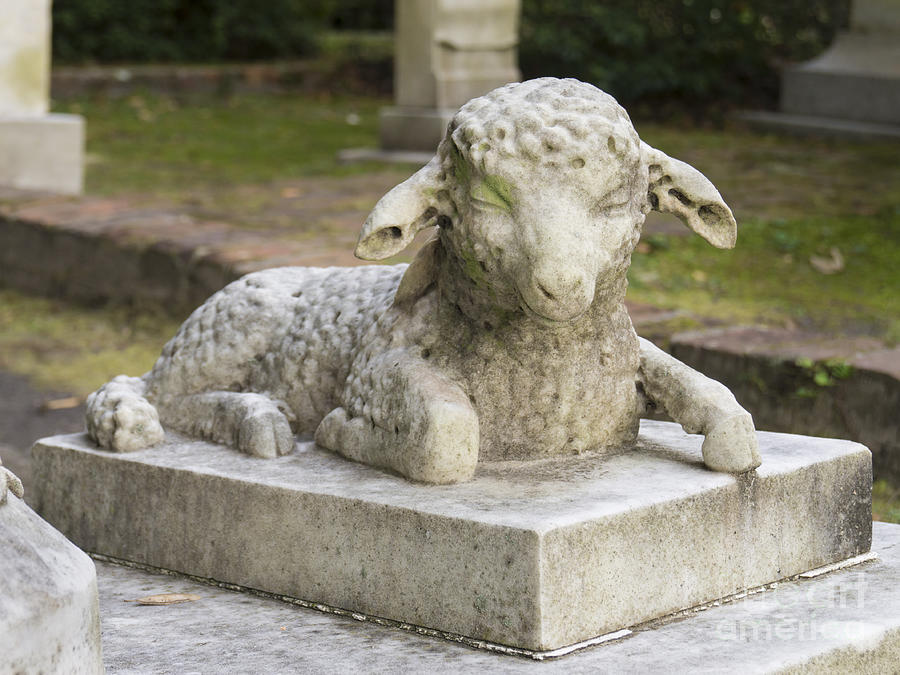 Lamb Memorial in a South Carolina Cemetery Photograph by MM Anderson