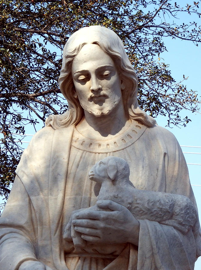 Lamb Of God Statue Photograph