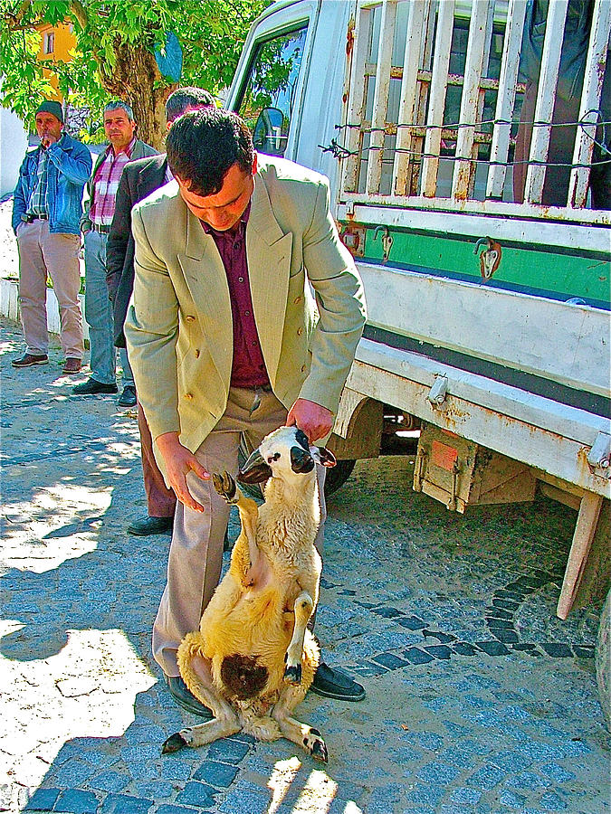 Lamb Salesman Comes to Demircidere Koyu in Kozak-Turkey Photograph by Ruth Hager