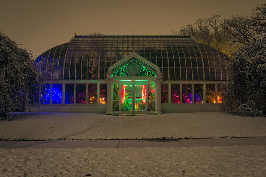Winter Photograph - Lamberton Conservatory at Night by Daniel Dangler