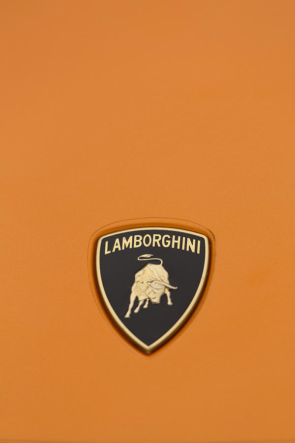 Car Photograph - Lambo Hood Ornament Orange by Scott Campbell