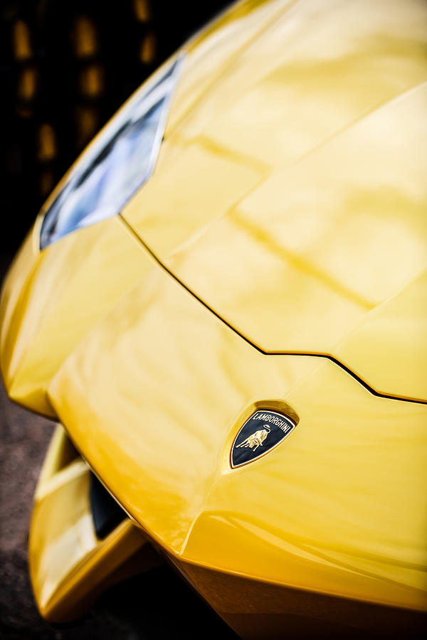 Car Photograph - Lamborghini Hood Emblem -1661c by Jill Reger