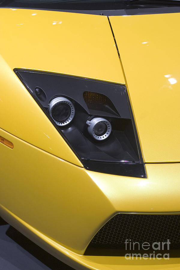 Lamborghini Photograph by Jim West