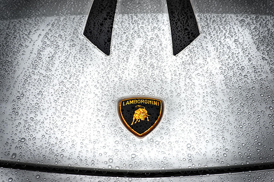 Lamborghini Performante Hood in HDR Photograph by Michael White