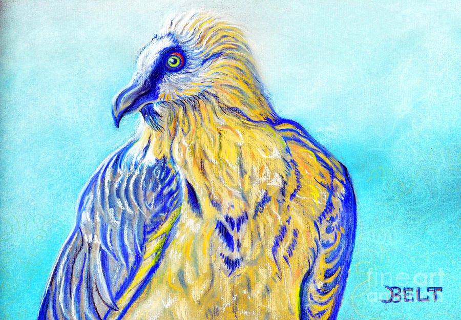 Bird Pastel - Lammergeier Vulture by Christine Belt