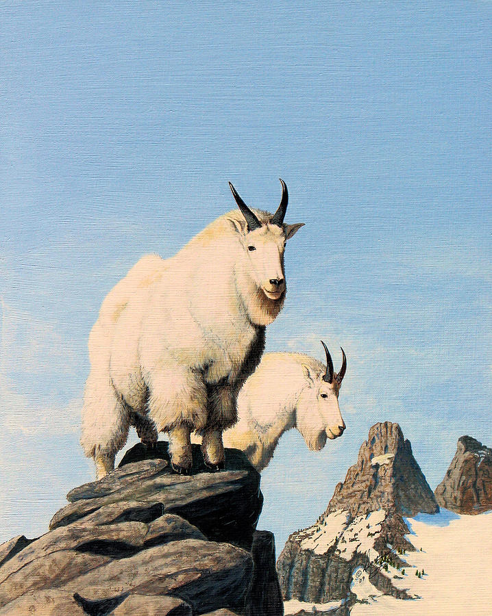 Lamoille Goats Painting by Darcy Tate