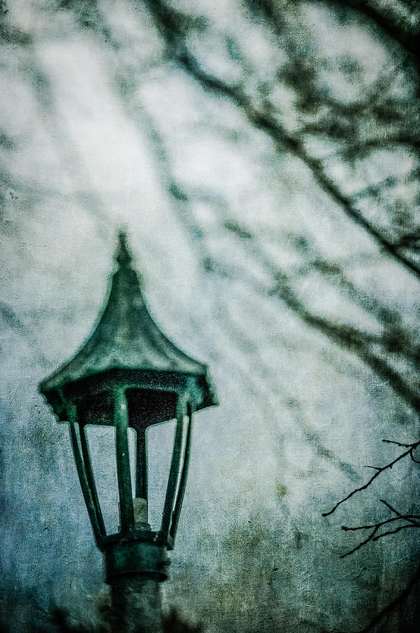 Lamp in Winter Photograph by YoPedro