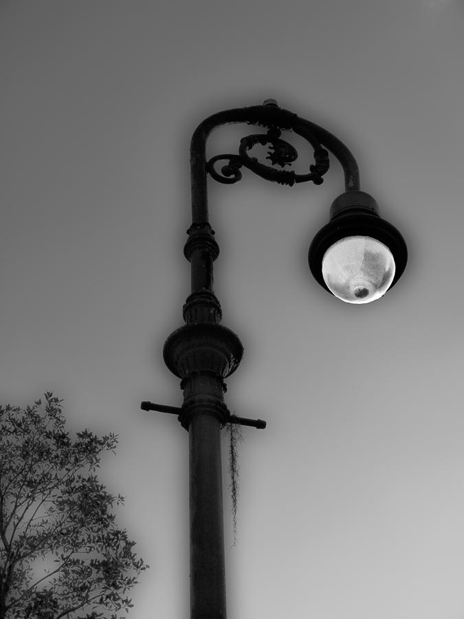 Savannah Lamp Post Photograph by Frank Bright