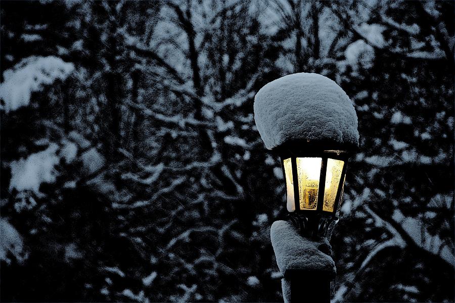 Snow Photograph - Lamp Light in Winter by Dr Carolyn Reinhart Snow Photograph - Lamp Light in Winter by Dr Carolyn Reinhart