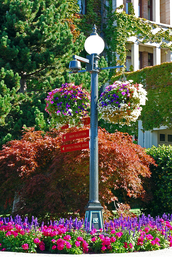 Lamp Post and Hanging Baskets. Victoria B.C.  Photograph by Connie Fox