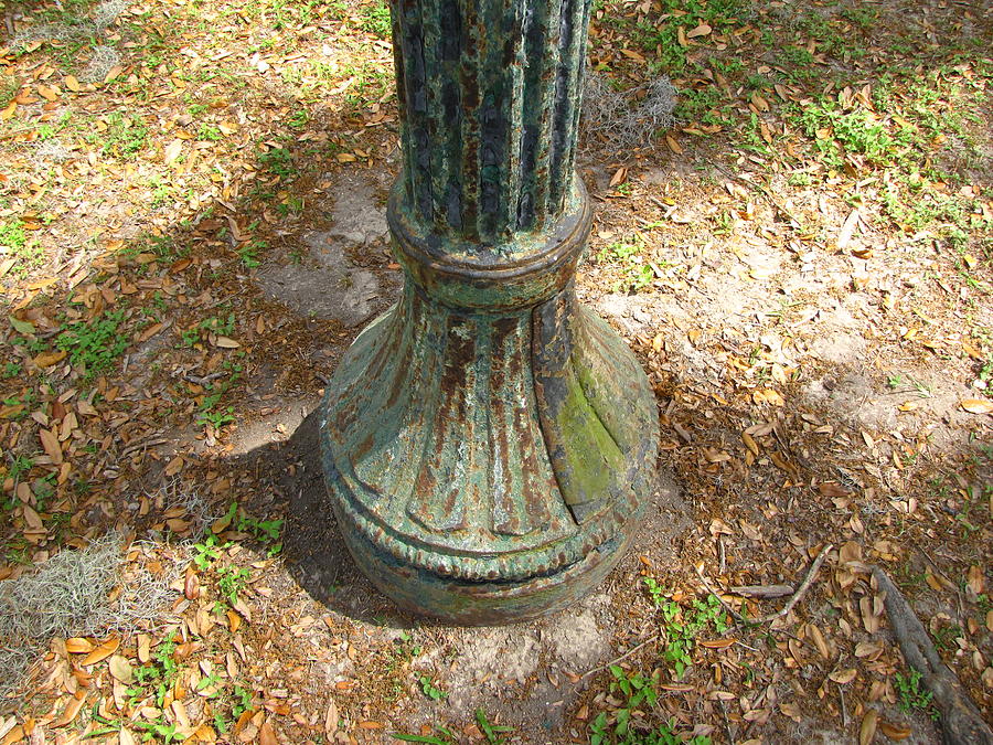 Lamp Post Photograph by Beth Vincent