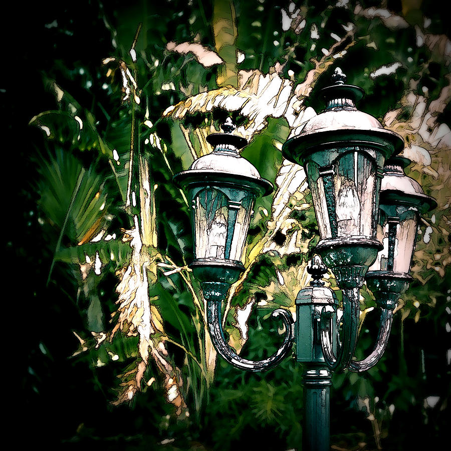 Lamp Post Photograph by Bill Howard