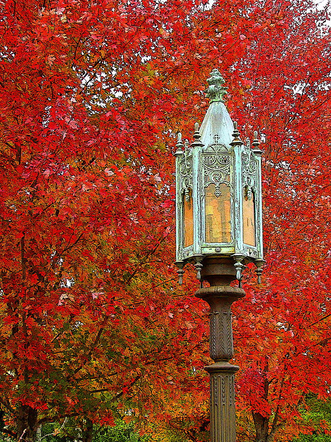 Lamp Post in Fall Photograph by Rodney Lee Williams