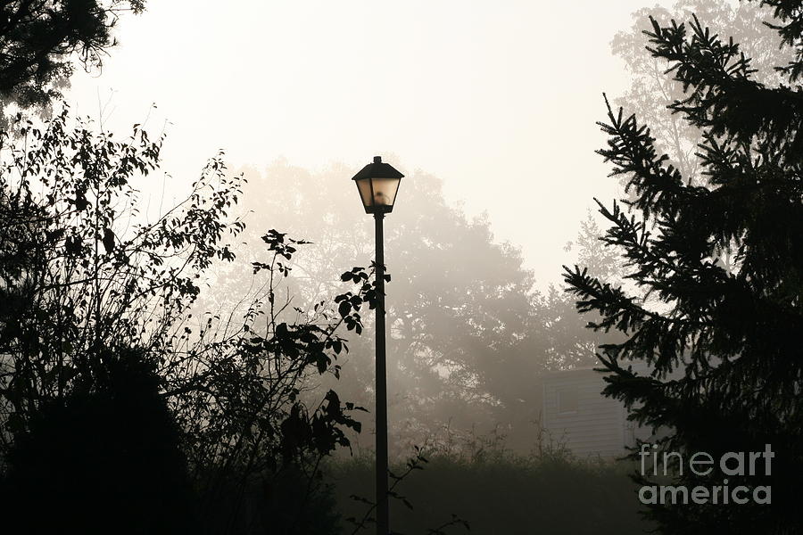 Lamp Post in Morning Fog Photograph by Deborah A Andreas