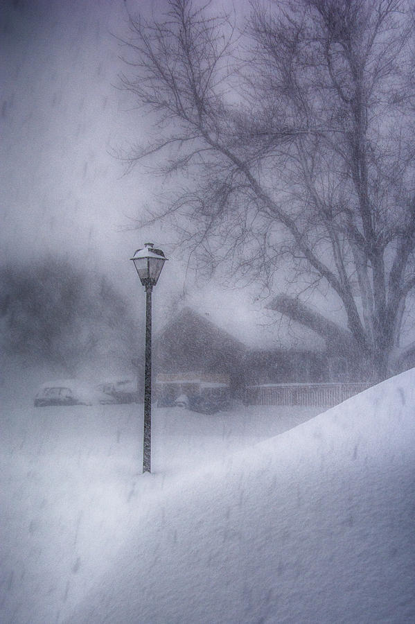 Lamp Post in the Snow Photograph by Guy Whiteley