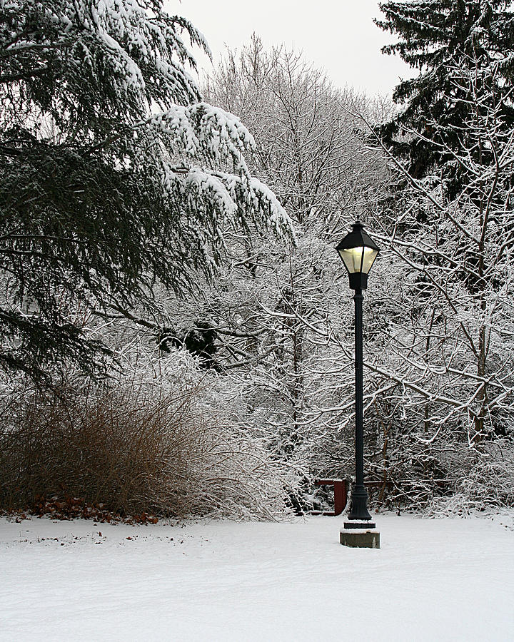 Lamp Post in Winter Photograph by William Selander