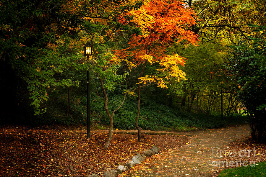 Lamp Post On An Autumn Path Photograph by James Eddy