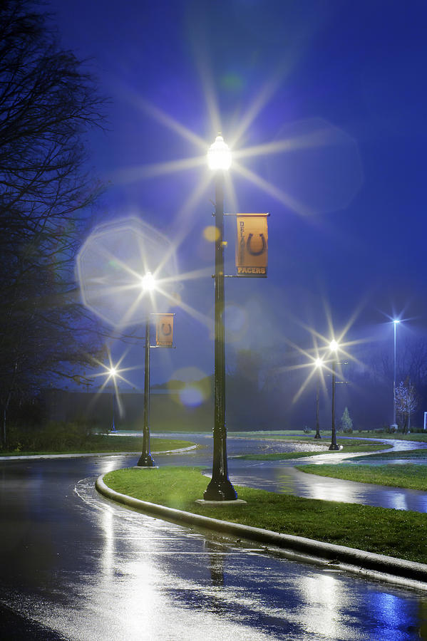 Lamp Photograph - Lamp Posts at Night by Martin Cline