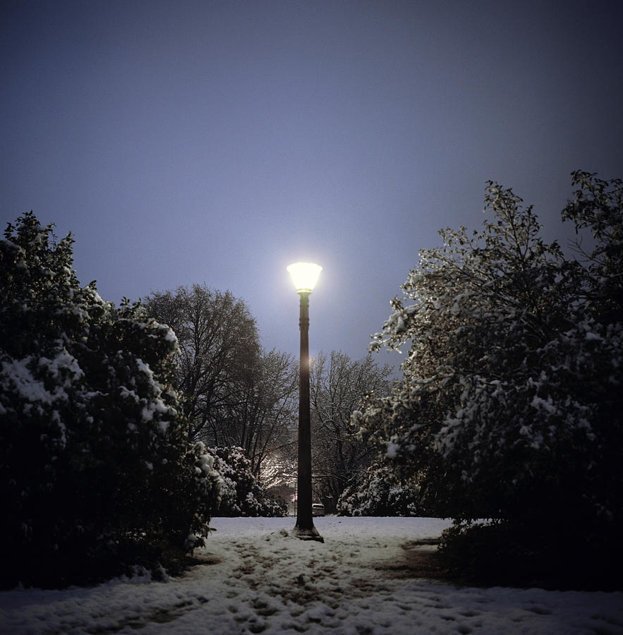 Lamplight In Snowy Neighborhood Park Photograph by Danielle D. Hughson
