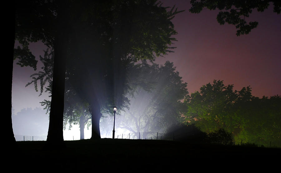 Lamppost Secret Photograph by Chris Thompson Fine Art America