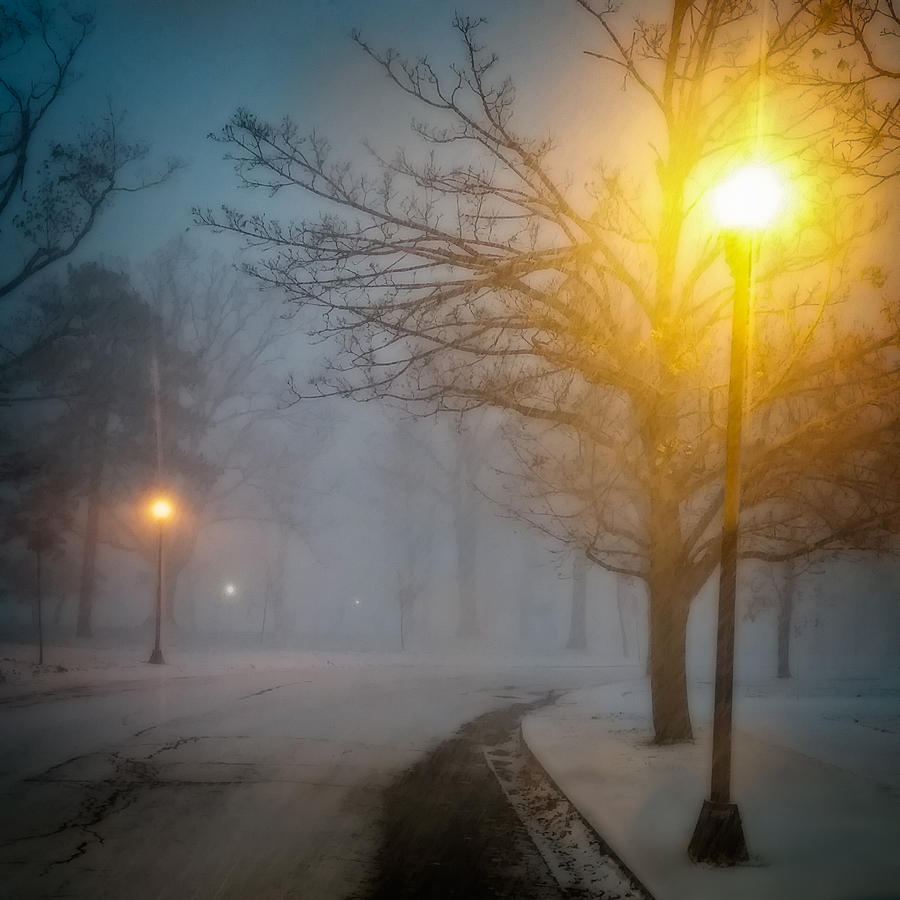 Lamppost Snowscape Photograph by Chris Bordeleau