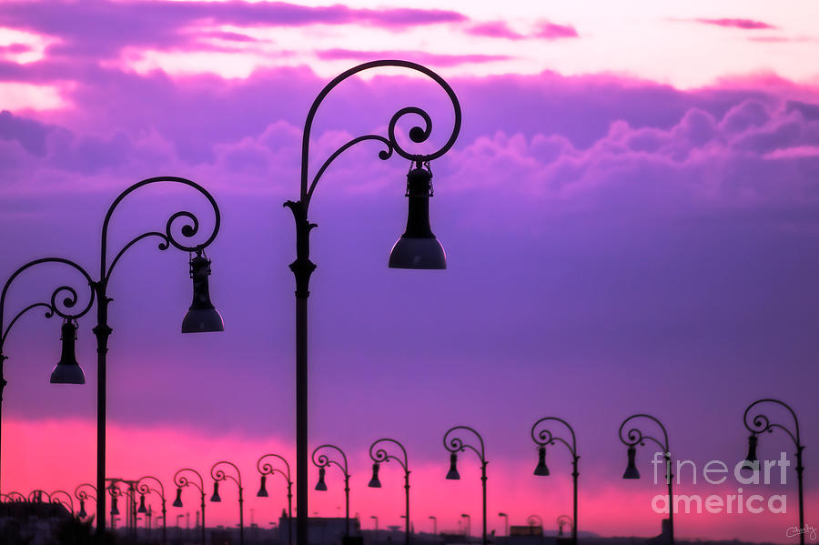 Lamp Photograph - Lampposts in Purple by Prints of Italy