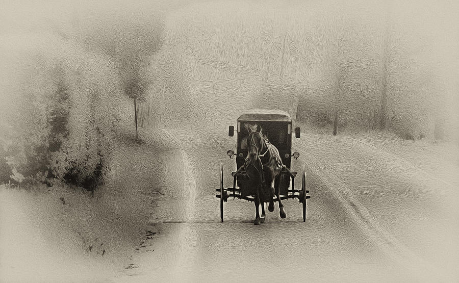 Black And White Photograph - Lancaster County Buggy Ride by Bill Cannon