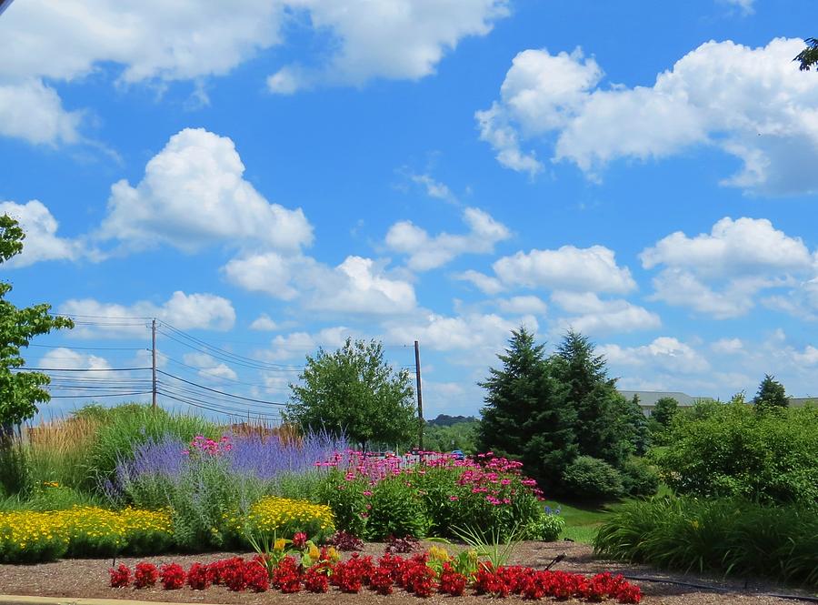 Lancaster County PA Summer Day Photograph by Jeanette Oberholtzer