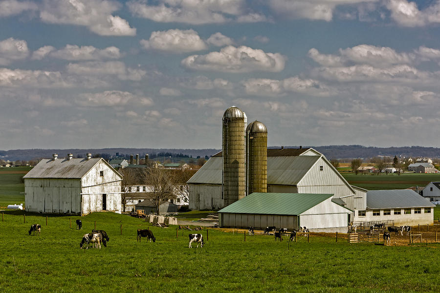 Nature Photograph - Lancaster Pennsylvania Farms by Susan Candelario