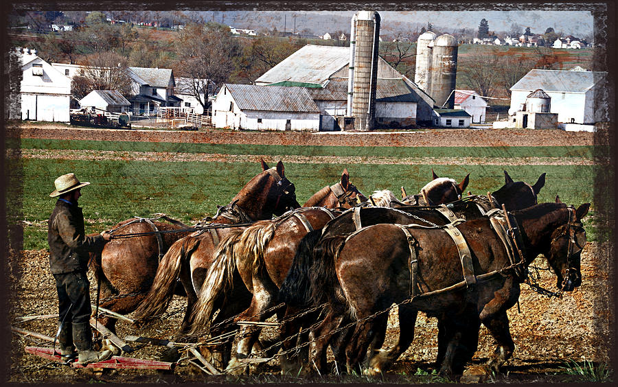 Lancaster Plowing Photograph by Alice Gipson