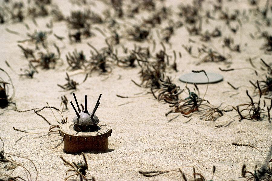 Beach Photograph - Land Mine by Peter Menzel/science Photo Library