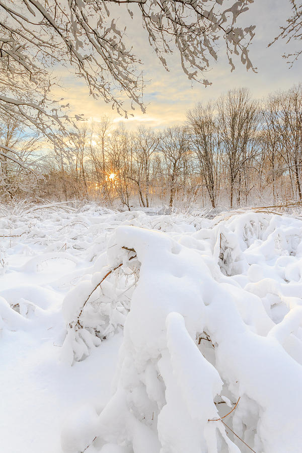 Land of Ice and Snow 2 Photograph by Bryan Bzdula