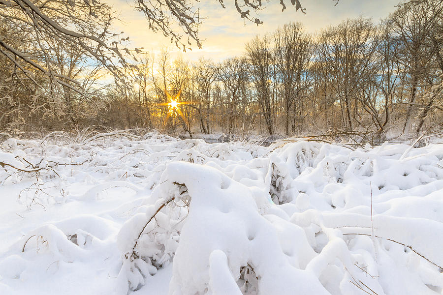 Land of Snow and Ice Photograph by Bryan Bzdula