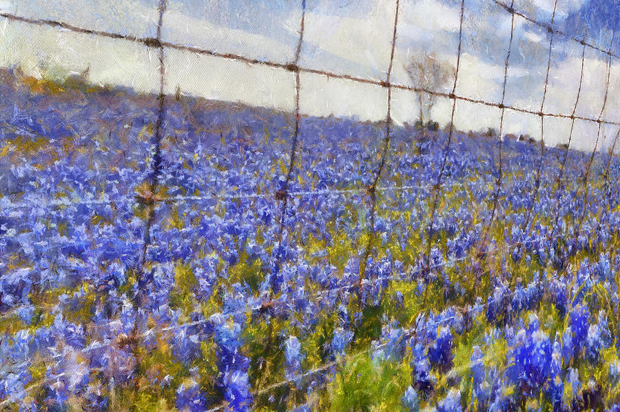 Land of the Bluebonnets Digital Art by Carrie OBrien Sibley