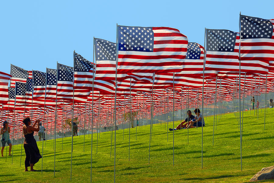 Land Of The Free Photograph by Lynn Bauer
